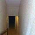 IMG 1421