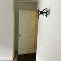IMG 3723